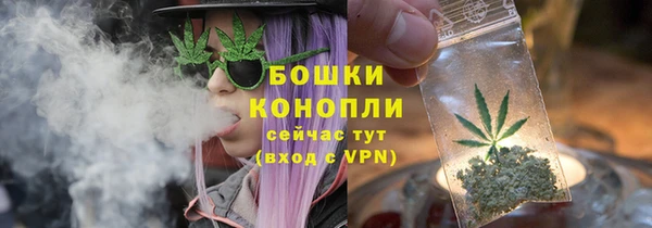 тгк Медногорск