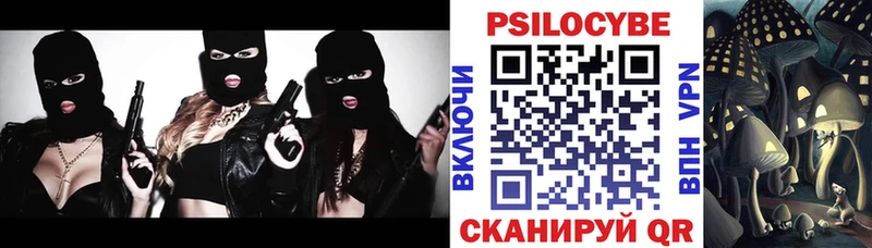 Псилоцибиновые грибы Cubensis  OMG как войти  Краснозаводск 